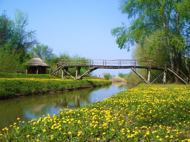 Tisza